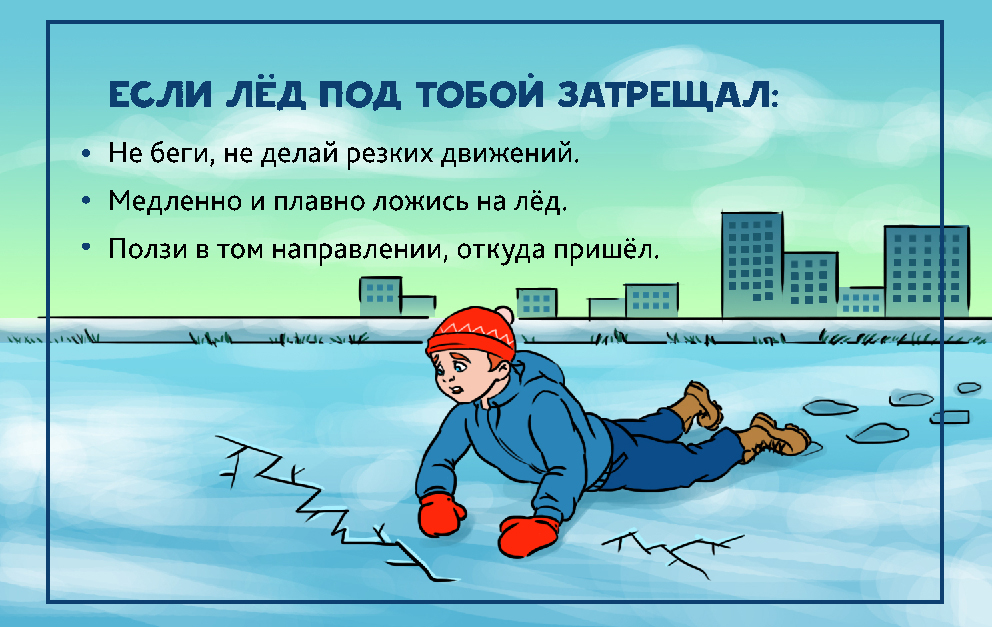 2т.jpg